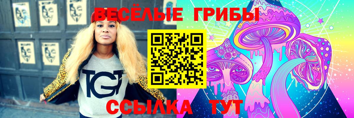 Галлюциногенные грибы Cubensis Лобня